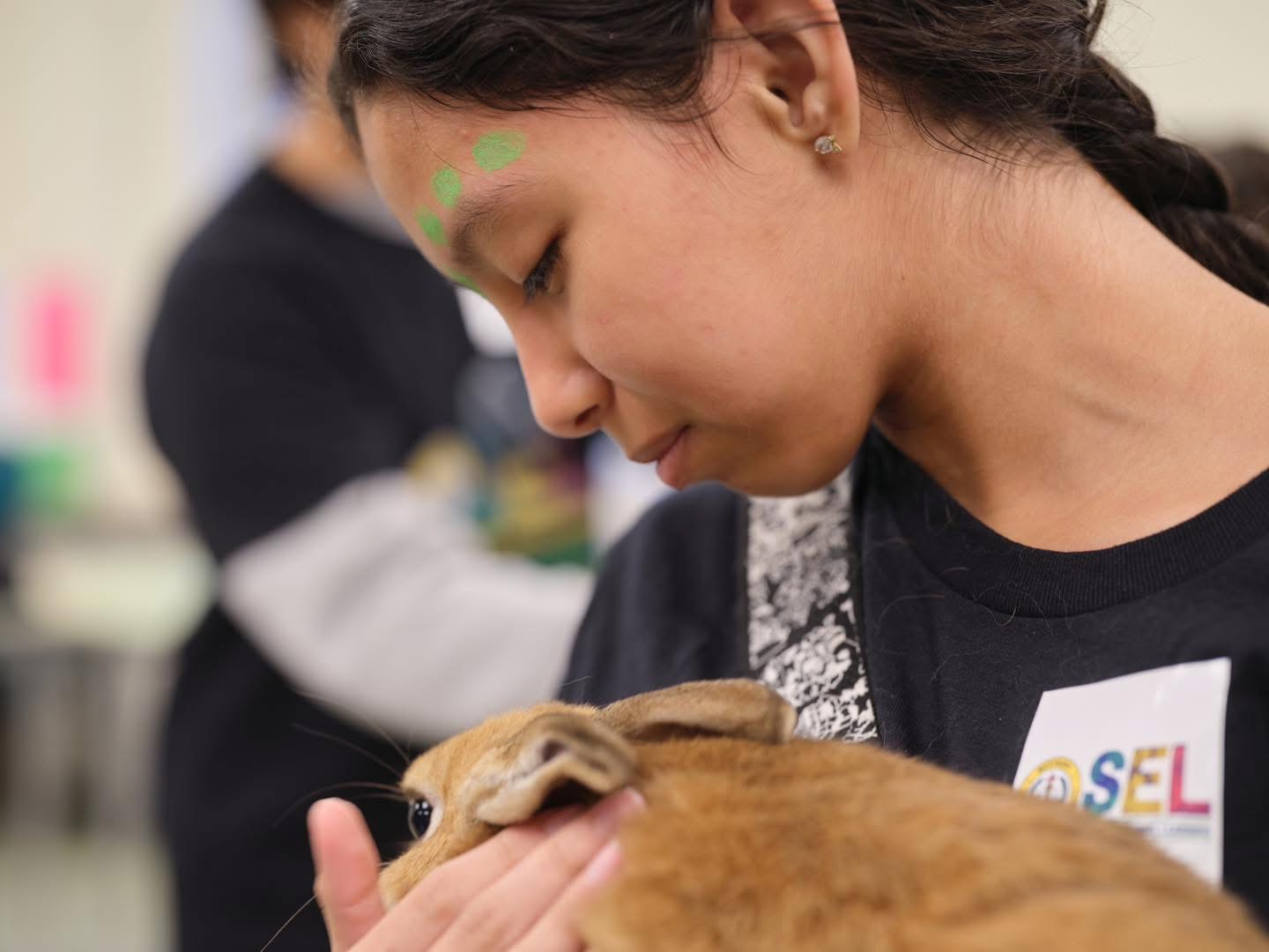 Child petting a rabbit