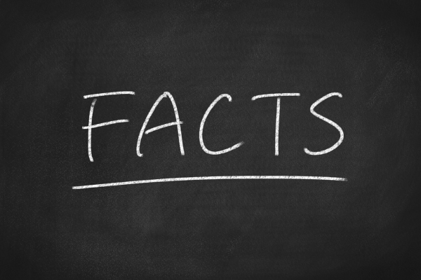 Facts written on a chalkboard