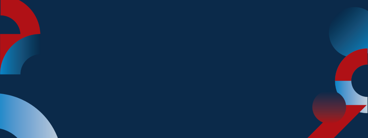 Public Education Promise shapes header