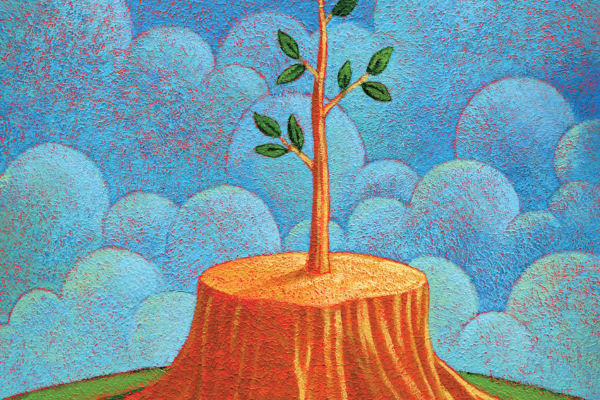 Illustration of tree growing out of tree stump