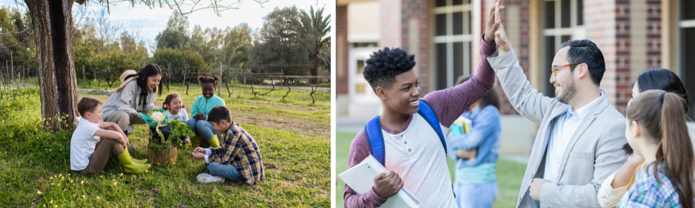 Groups of students learning with teachers