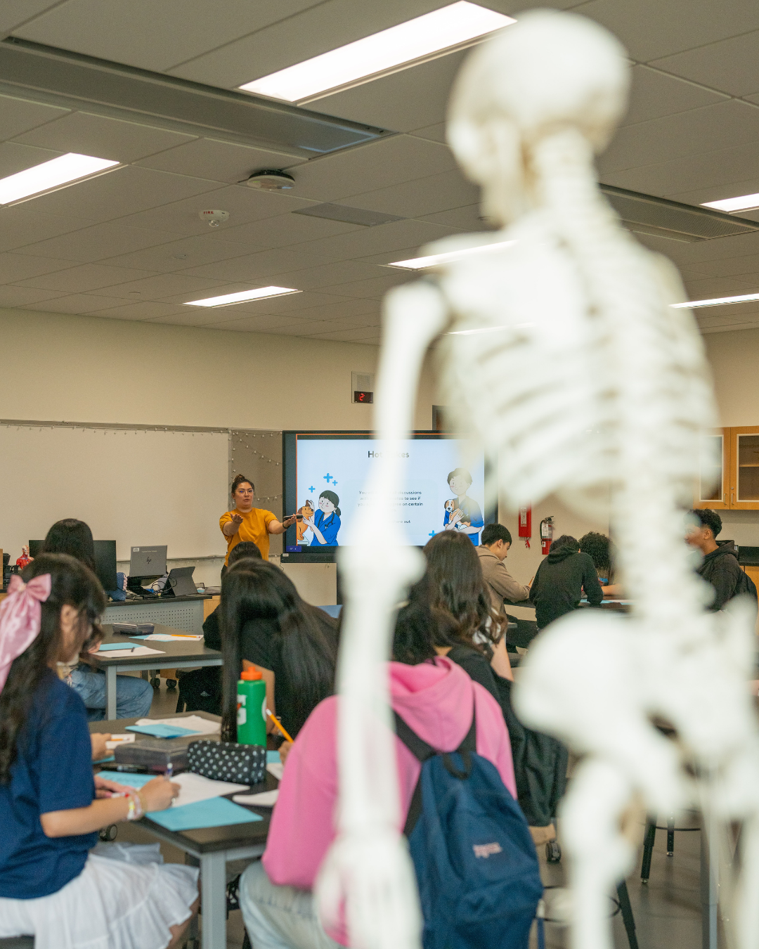 A skeleton displayed in front of students learning at the new health sciences program in Washington state