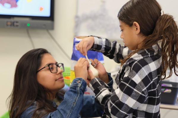 Empowering Whole Hearts in Westbury: Fostering Emotional Wellness and Community Connections